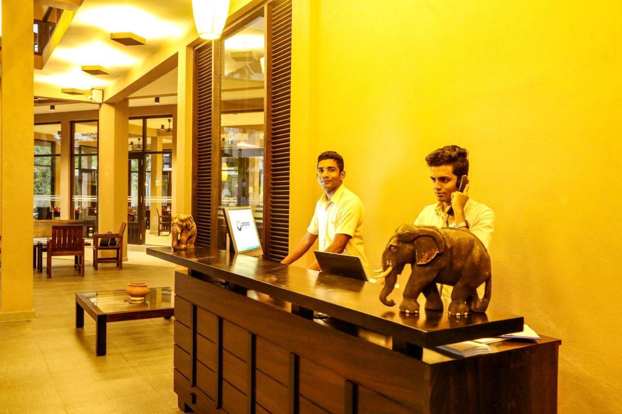 Oak Ray Wild Yala Hotel Tissamaharama Exterior photo